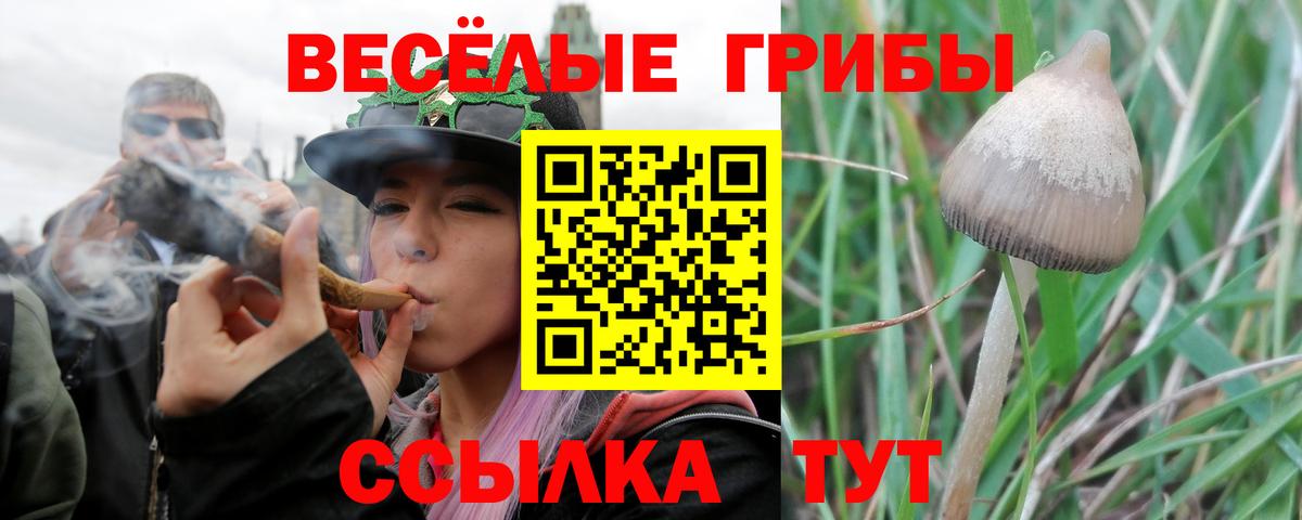 Псилоцибиновые грибы Magic Shrooms Добрянка